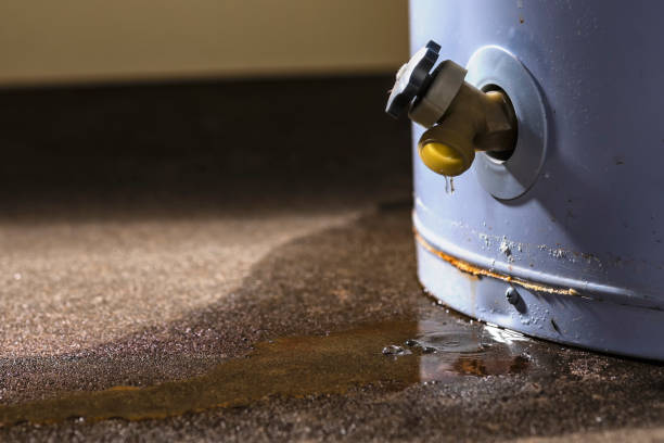 Best Commercial water damage restoration  in Crystal Lake, IL