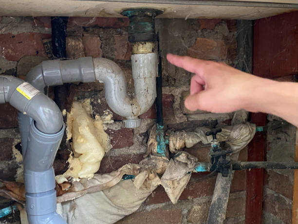 Best Water damage restoration cost  in Crystal Lake, IL