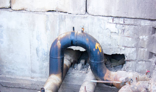 Best Local water damage restoration  in Crystal Lake, IL