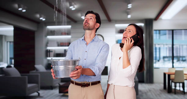  Crystal Lake, IL Water damage restoration Pros